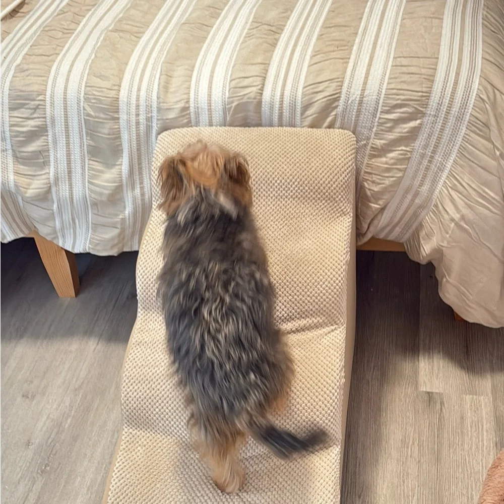 Pet Stairs for Dogs - Beige